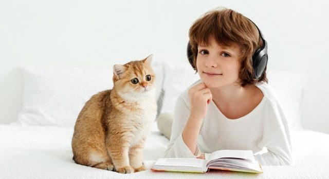 透明がつなぐ機能と美しさ進化するシールラベル印刷技術の最前線