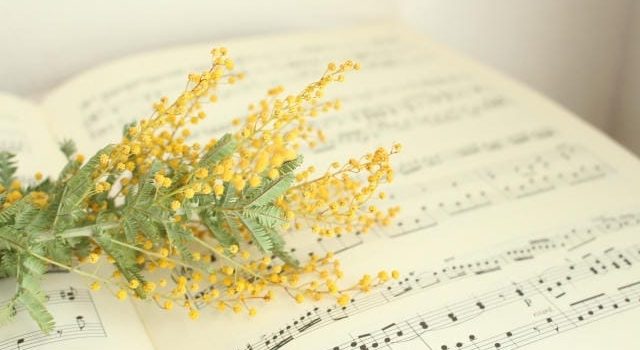 透明という機能美が支える見えない力と暮らしを彩る最先端シール技術